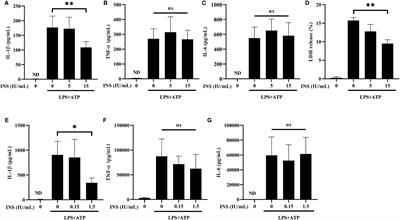 Insulin Reduces Inflammation by Regulating the Activation of the NLRP3 Inflammasome